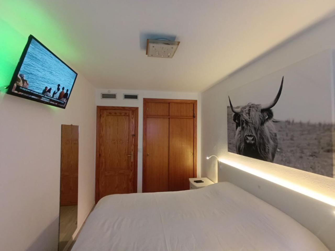 Apartment To Rent In Costa Blanca Torrevieja Zewnętrze zdjęcie